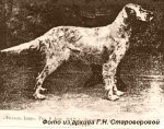 ИСТОРИЯ - Архив Староверовой Г.Н
